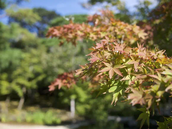 September